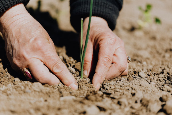 What is Biodegradable Packaging and Why is It Different to Plastic?